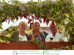 Festival Mar de Tethys 2026 - Bodega Vetas